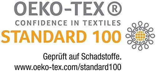 Carbotex Teddy im Mond Flauschdecke Schmusedecke Kuscheldecke 110 x 140 cm - Palleon